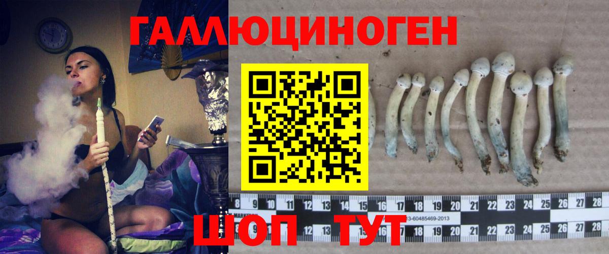 Галлюциногенные грибы GOLDEN TEACHER  продажа наркотиков  Псилоцибиновые грибы Psilocybe  Соль-Илецк  Вход с VPN 
