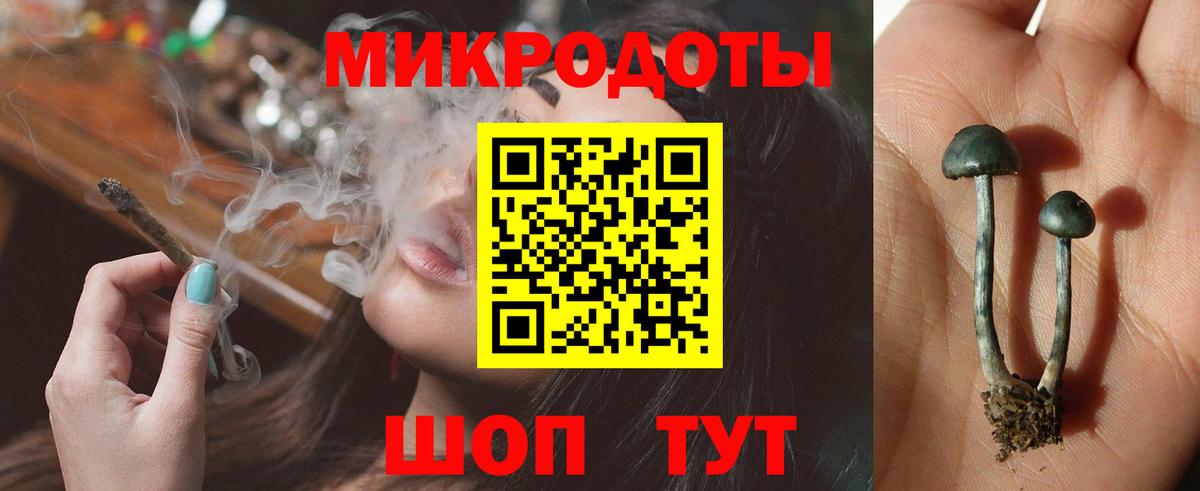 Псилоцибиновые грибы Psilocybine cubensis Соль-Илецк